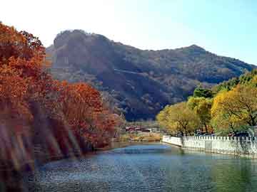 澳门二四六天天彩图库，洋浦论坛